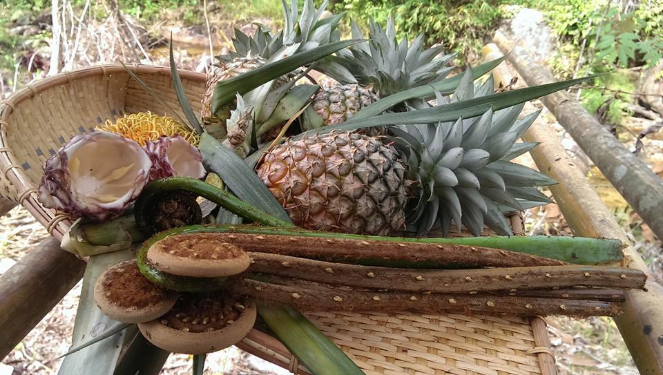 Salomavillagestay jungle fruits basket in the heart of the Borneo jungle
