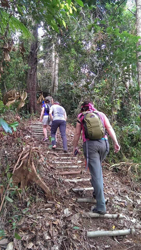 Borneo Jungle trek in the heart of the rainforest included in your adventure/ tour