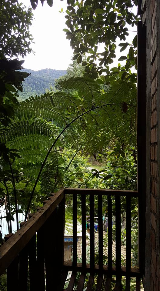 Salomavillagestay balcony view in the heart of the Borneo jungle