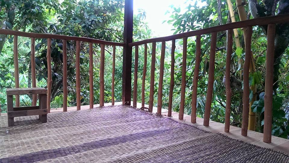 Salomavillagestay tree house balcony view in the heart of the Borneo jungle