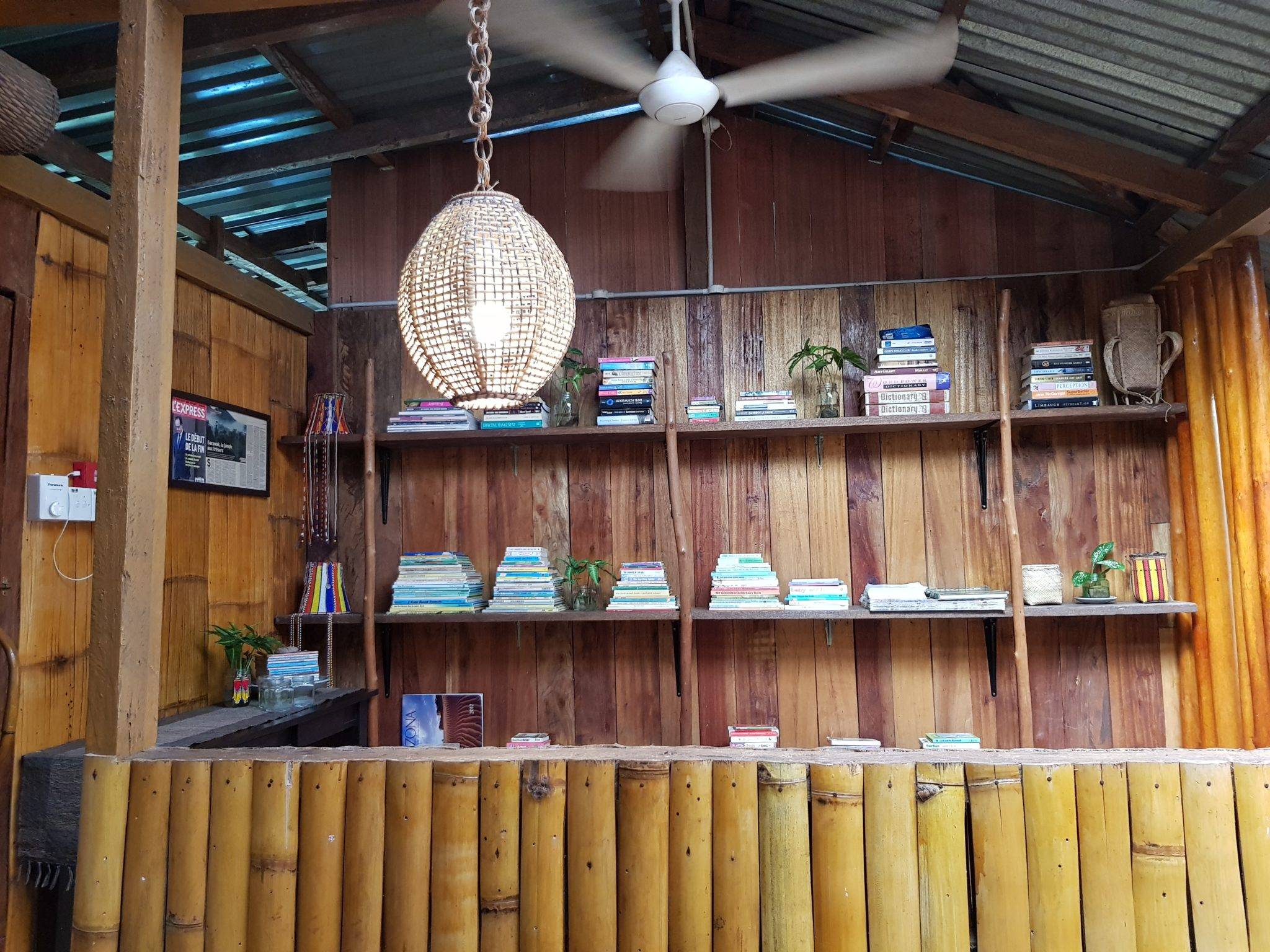 Shelves and books in a shared room