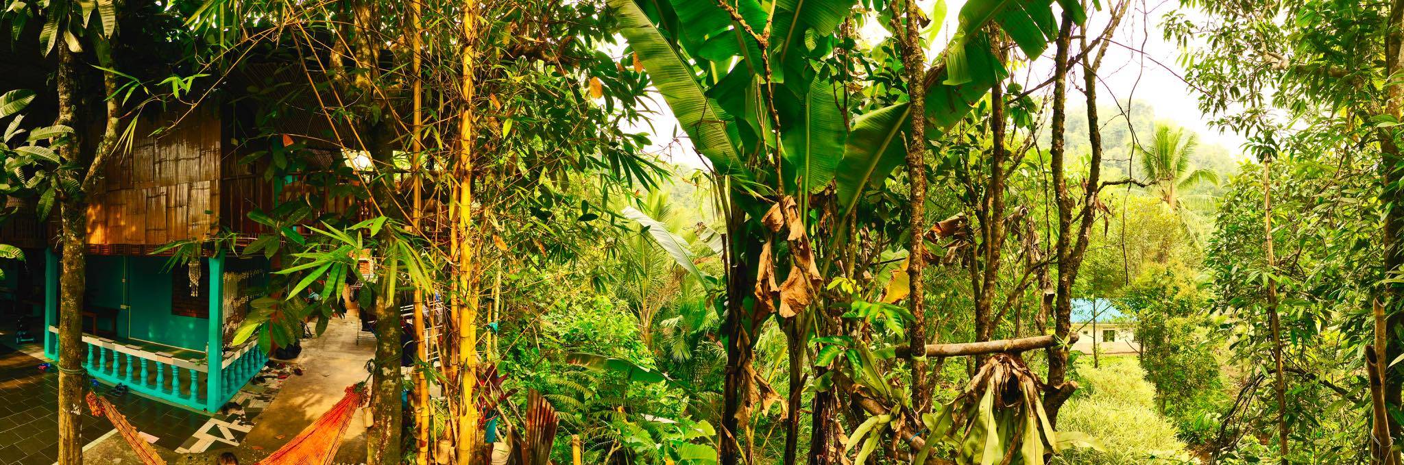 A small structure among trees