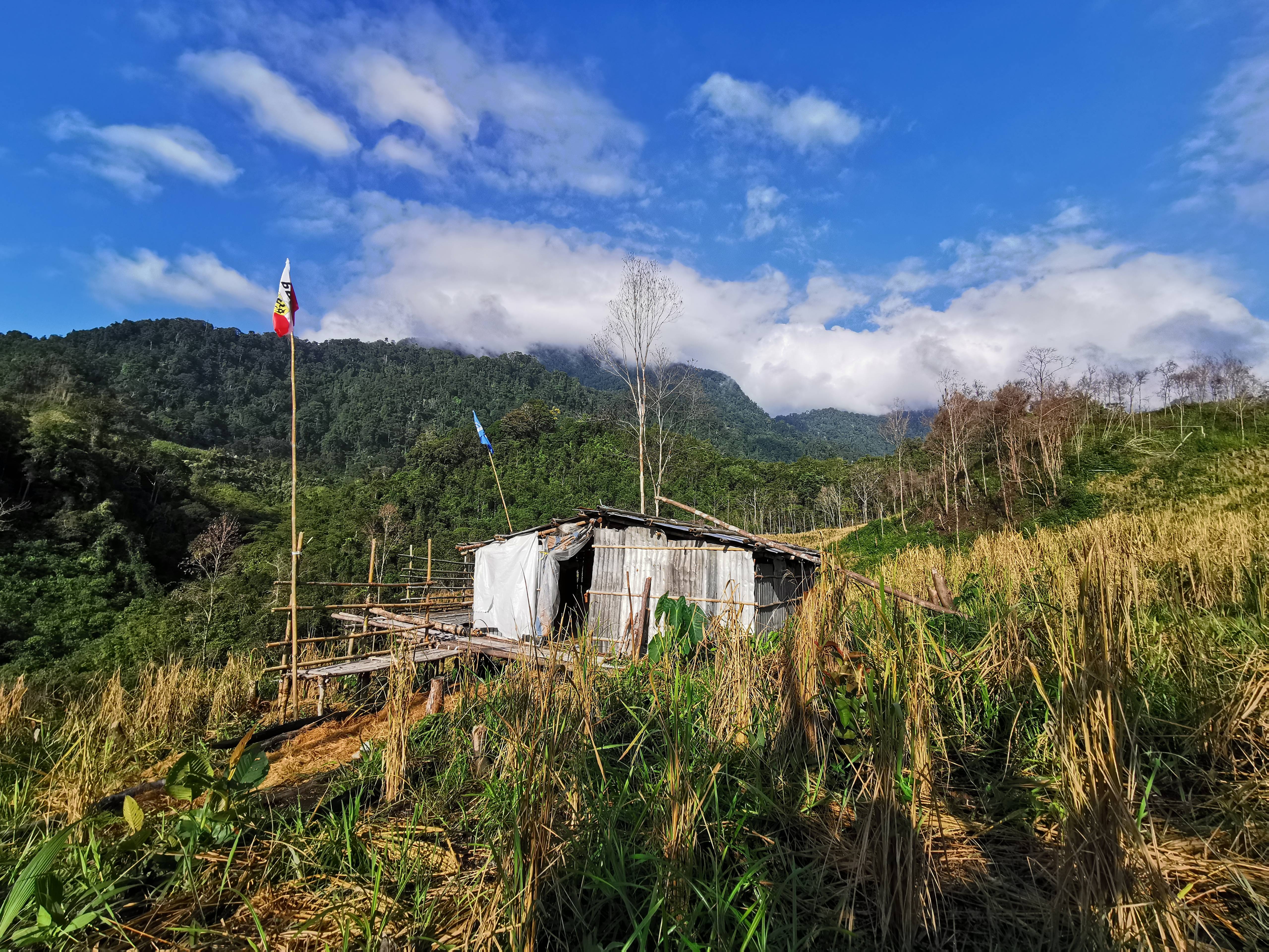 A hillside view near the village