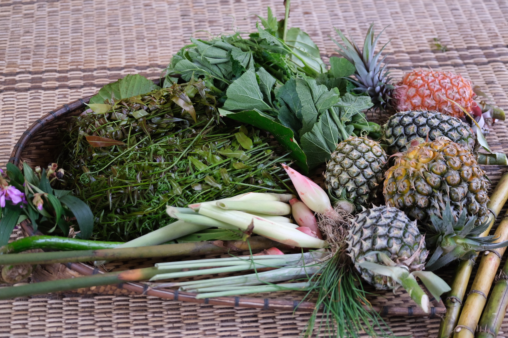 Fresh produce gathered in a basket